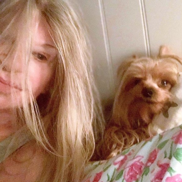 Meet your posher & Guinevere Yorkie! - Picture 6 of 16